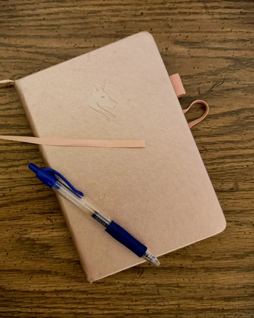 Physical notebook and pen for offline password security backup