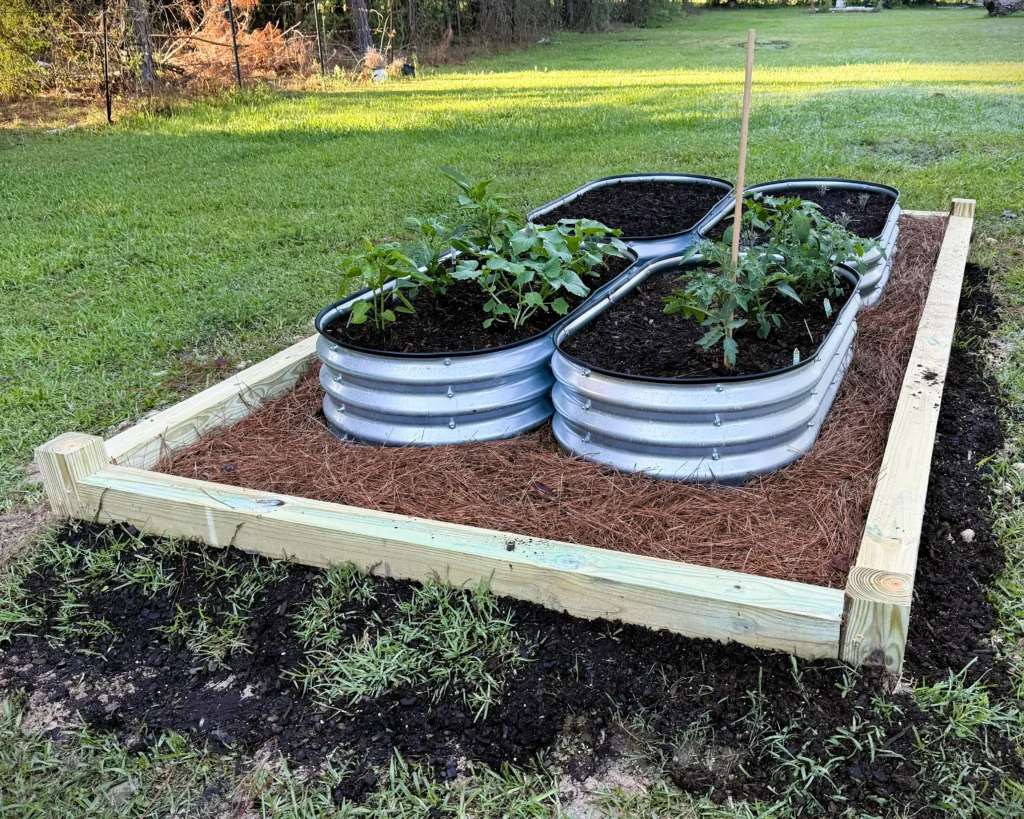 Four galvanized metal garden beds positioned inside a custom 4x4 timber frame on a leveled dirt pad.