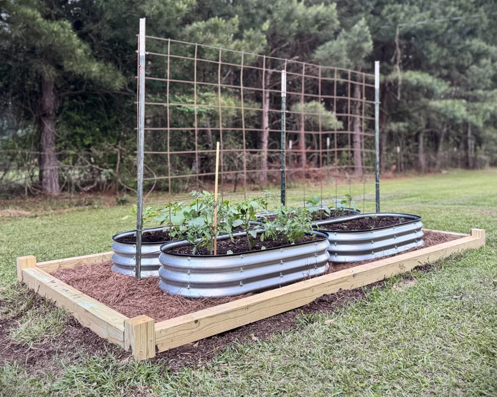 An 8-foot salvaged cattle panel trellis mounted to recycled metal T-posts driven into the ground behind galvanized garden beds.