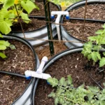 DIY PVC drip irrigation manifold splitting water lines out to four raised garden beds for an automated irrigation system